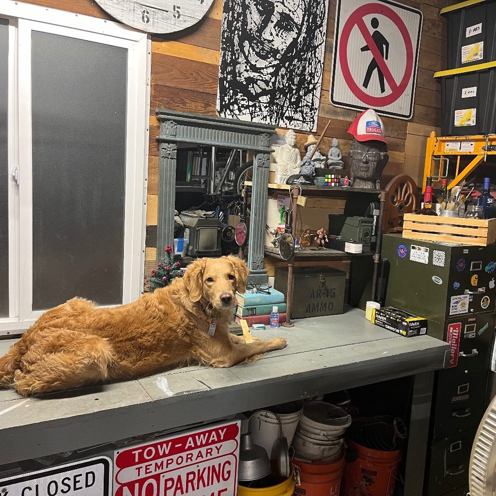 Meet your Posher, Chaco